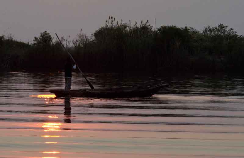 03 - Botswana - parque nacional de Chobe - rio Chobe - pescador